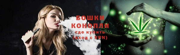 дживик Аркадак