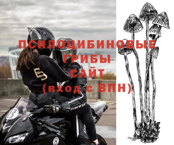 гашиш Арсеньев