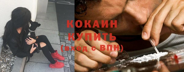 ПСИЛОЦИБИНОВЫЕ ГРИБЫ Армянск