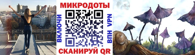 hydra ТОР  Белёв  Псилоцибиновые грибы MAGIC MUSHROOMS 